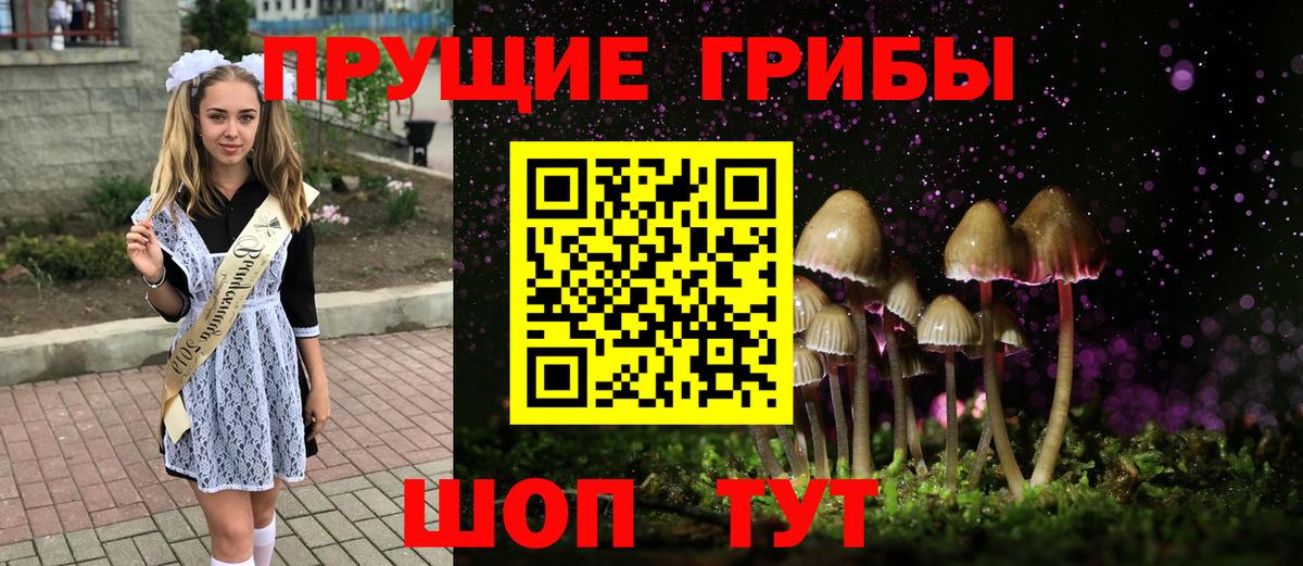 Кушва  Псилоцибиновые грибы мицелий  Галлюциногенные грибы прущие грибы  Вход с VPN 